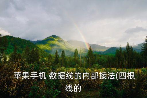 蘋果數(shù)據(jù)線8個線說明