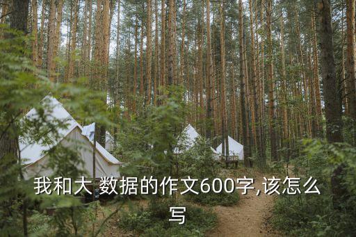 我和大 數(shù)據(jù)的作文600字,該怎么寫(xiě)