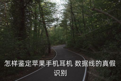 plsen牌子的數(shù)據(jù)線真假