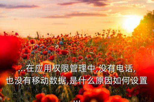 ...在應(yīng)用權(quán)限管理中,沒有電話,也沒有移動數(shù)據(jù),是什么原因如何設(shè)置...