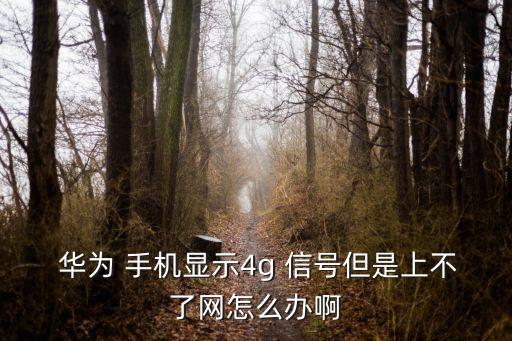 華為手機數(shù)據(jù)信號,手機數(shù)據(jù)信號差怎么解決方法