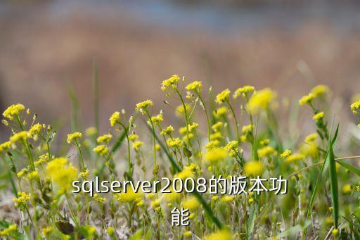 sqlserver2008的版本功能