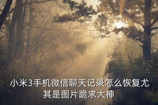  小米3手機(jī)微信聊天記錄怎么恢復(fù)尤其是圖片跪求大神