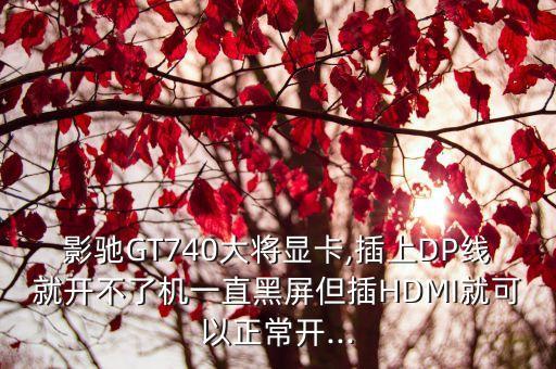 影馳GT740大將顯卡,插上DP線就開不了機一直黑屏但插HDMI就可以正常開...