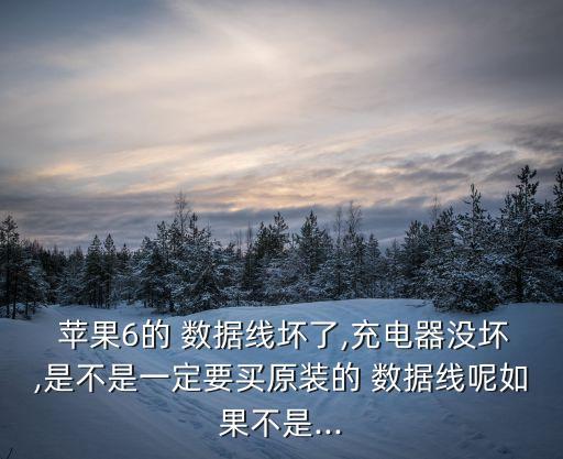  蘋果6的 數(shù)據(jù)線壞了,充電器沒壞,是不是一定要買原裝的 數(shù)據(jù)線呢如果不是...