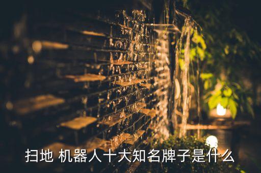 掃地 機器人十大知名牌子是什么
