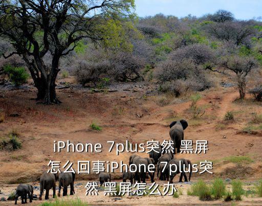 iPhone 7plus突然 黑屏怎么回事iPhone 7plus突然 黑屏怎么辦
