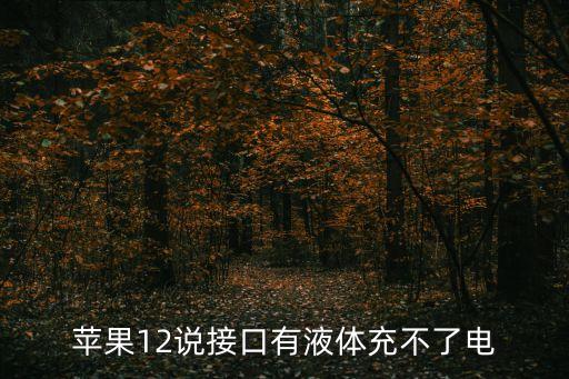 蘋果12說接口有液體充不了電