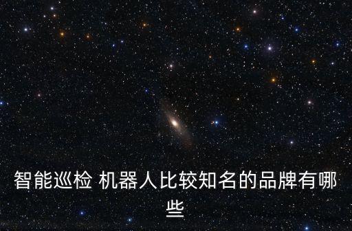 智能巡檢 機(jī)器人比較知名的品牌有哪些