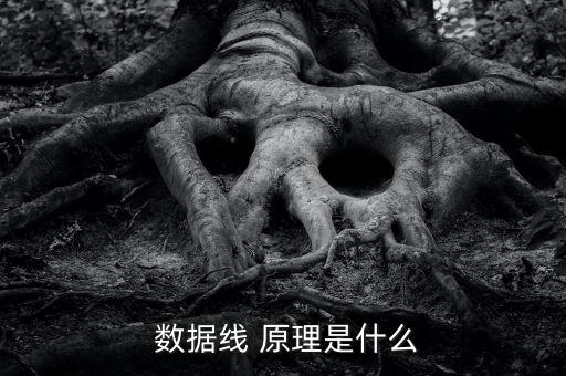  數(shù)據(jù)線 原理是什么