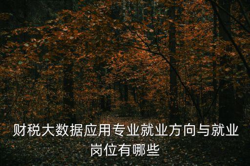  財稅大數(shù)據(jù)應(yīng)用專業(yè)就業(yè)方向與就業(yè)崗位有哪些