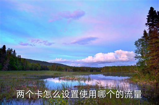兩個(gè)卡怎么設(shè)置使用哪個(gè)的流量