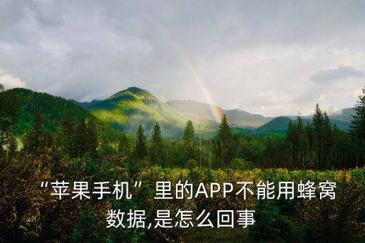 “蘋果手機”里的APP不能用蜂窩 數(shù)據(jù),是怎么回事