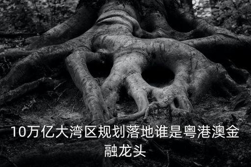 10萬億大灣區(qū)規(guī)劃落地誰是粵港澳金融龍頭