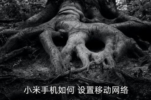  小米手機(jī)如何 設(shè)置移動(dòng)網(wǎng)絡(luò)