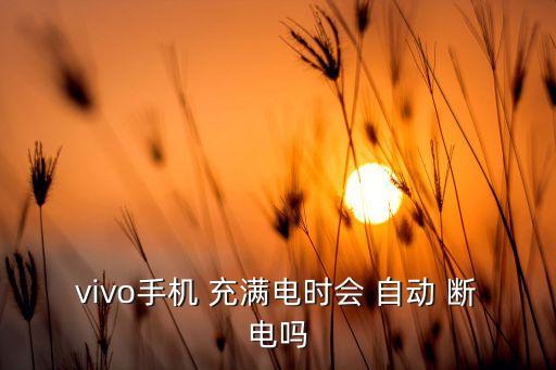 vivo手機(jī) 充滿電時(shí)會(huì) 自動(dòng) 斷電嗎