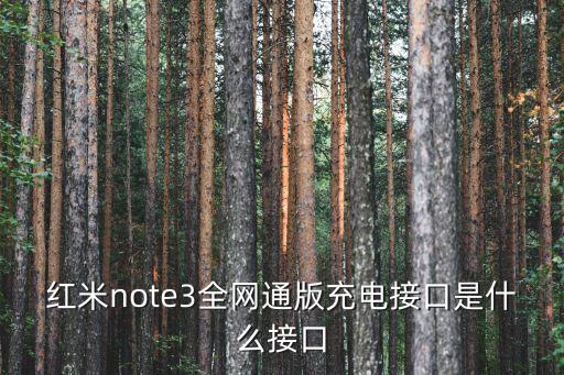 紅米note3全網(wǎng)通版充電接口是什么接口