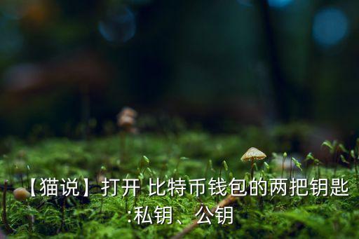 【貓說】打開 比特幣錢包的兩把鑰匙:私鑰、公鑰