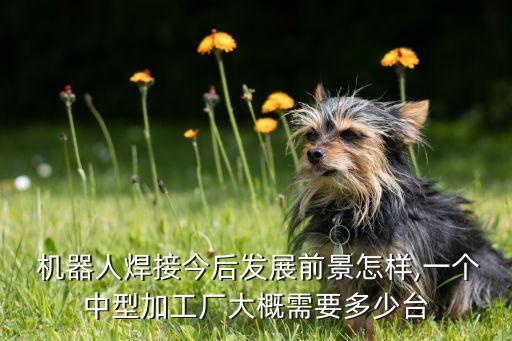  機(jī)器人焊接今后發(fā)展前景怎樣,一個(gè)中型加工廠大概需要多少臺(tái)