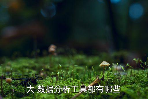 大 數(shù)據(jù)分析工具都有哪些