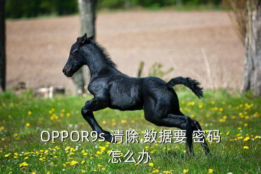 oppo清除數(shù)據(jù)要密碼