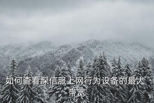 帶寬規(guī)劃數(shù)據(jù),數(shù)據(jù)帶寬等于什么乘什么