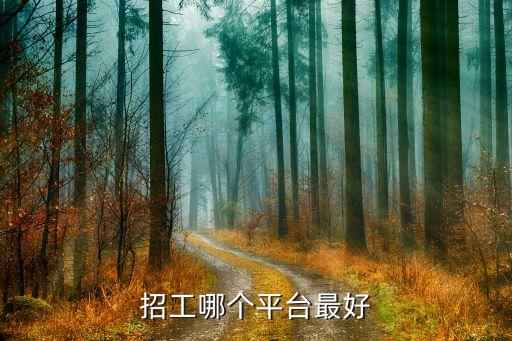 招工哪個平臺最好