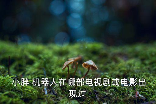  小胖 機(jī)器人在哪部電視劇或電影出現(xiàn)過(guò)