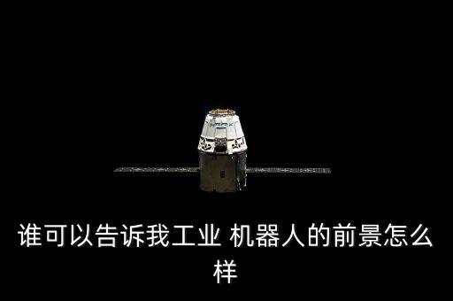 誰可以告訴我工業(yè) 機器人的前景怎么樣