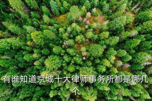 有誰知道京城十大律師事務(wù)所都是哪幾個