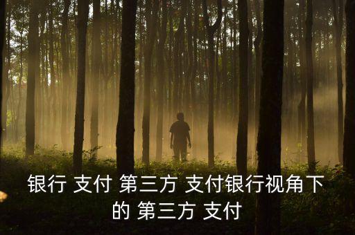 銀行 支付 第三方 支付銀行視角下的 第三方 支付