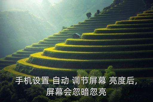 手機(jī)設(shè)置 自動 調(diào)節(jié)屏幕 亮度后,屏幕會忽暗忽亮