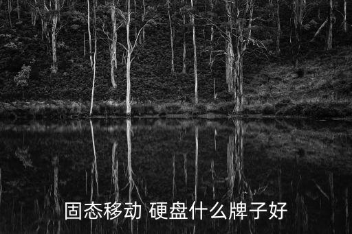 數(shù)據(jù)存儲(chǔ)移動(dòng)硬盤(pán),移動(dòng)硬盤(pán)數(shù)據(jù)存儲(chǔ)最大時(shí)間