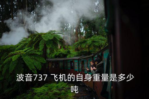  波音737 飛機的自身重量是多少噸