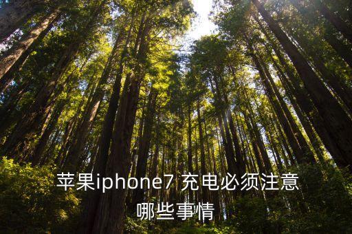  蘋(píng)果iphone7 充電必須注意哪些事情