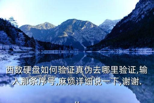怎樣查看西部數(shù)據(jù)真假,如何辨別西部數(shù)據(jù)硬盤真假