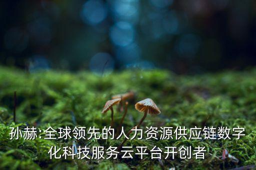 孫赫:全球領(lǐng)先的人力資源供應(yīng)鏈數(shù)字化科技服務(wù)云平臺開創(chuàng)者