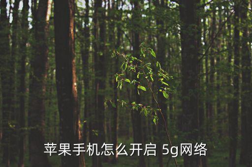 支持5g數(shù)據(jù),5g時使用更多數(shù)據(jù)要打開嗎