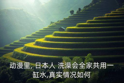 日本洗澡自動(dòng),全自動(dòng)洗澡機(jī)器
