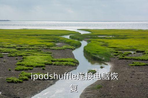  ipodshuffle連接電腦恢復(fù)