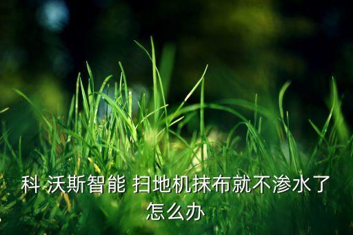 科 沃斯智能 掃地機抹布就不滲水了怎么辦