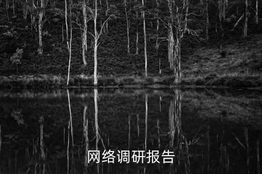 網(wǎng)絡調(diào)研報告