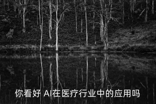 你看好 AI在醫(yī)療行業(yè)中的應(yīng)用嗎