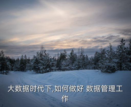 大數(shù)據(jù)時(shí)代下,如何做好 數(shù)據(jù)管理工作