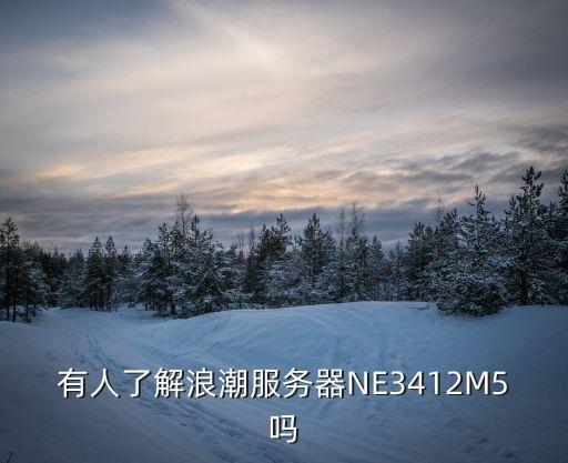 有人了解浪潮服務(wù)器NE3412M5嗎
