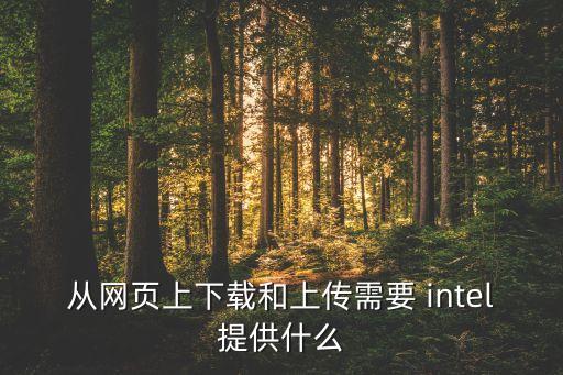從網(wǎng)頁上下載和上傳需要 intel提供什么