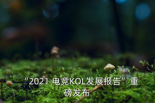 “2021 電競KOL發(fā)展報告”重磅發(fā)布