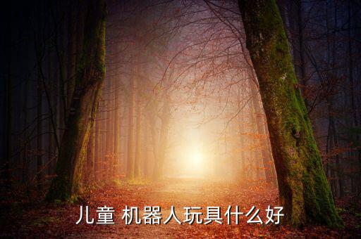 大人孩子都能做的機(jī)器人