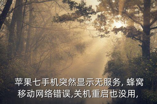 蘋果7P用不了蜂窩數(shù)據(jù),蘋果手機蜂窩數(shù)據(jù)太卡怎么辦