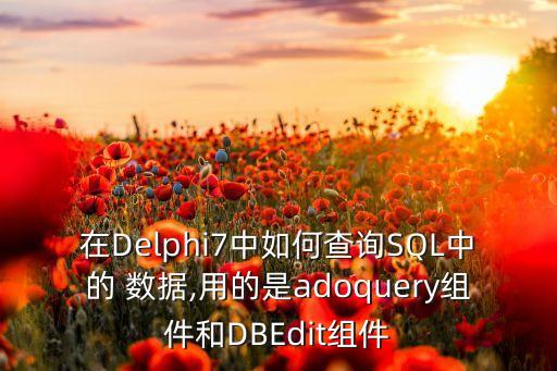 在Delphi7中如何查詢SQL中的 數(shù)據(jù),用的是adoquery組件和DBEdit組件